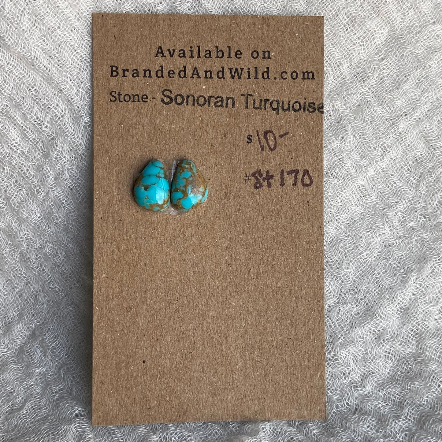 Sonoran Turquoise Cabochon - ST170