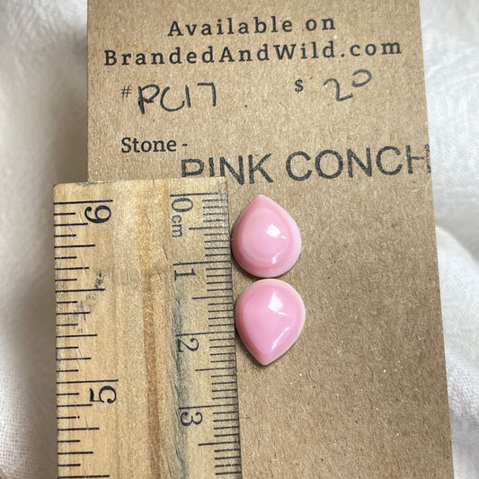 Pink Conch Cabochon - P017 E2957670-0F70-4097-AD3A-E1771824FDEB Brandedandwild.com