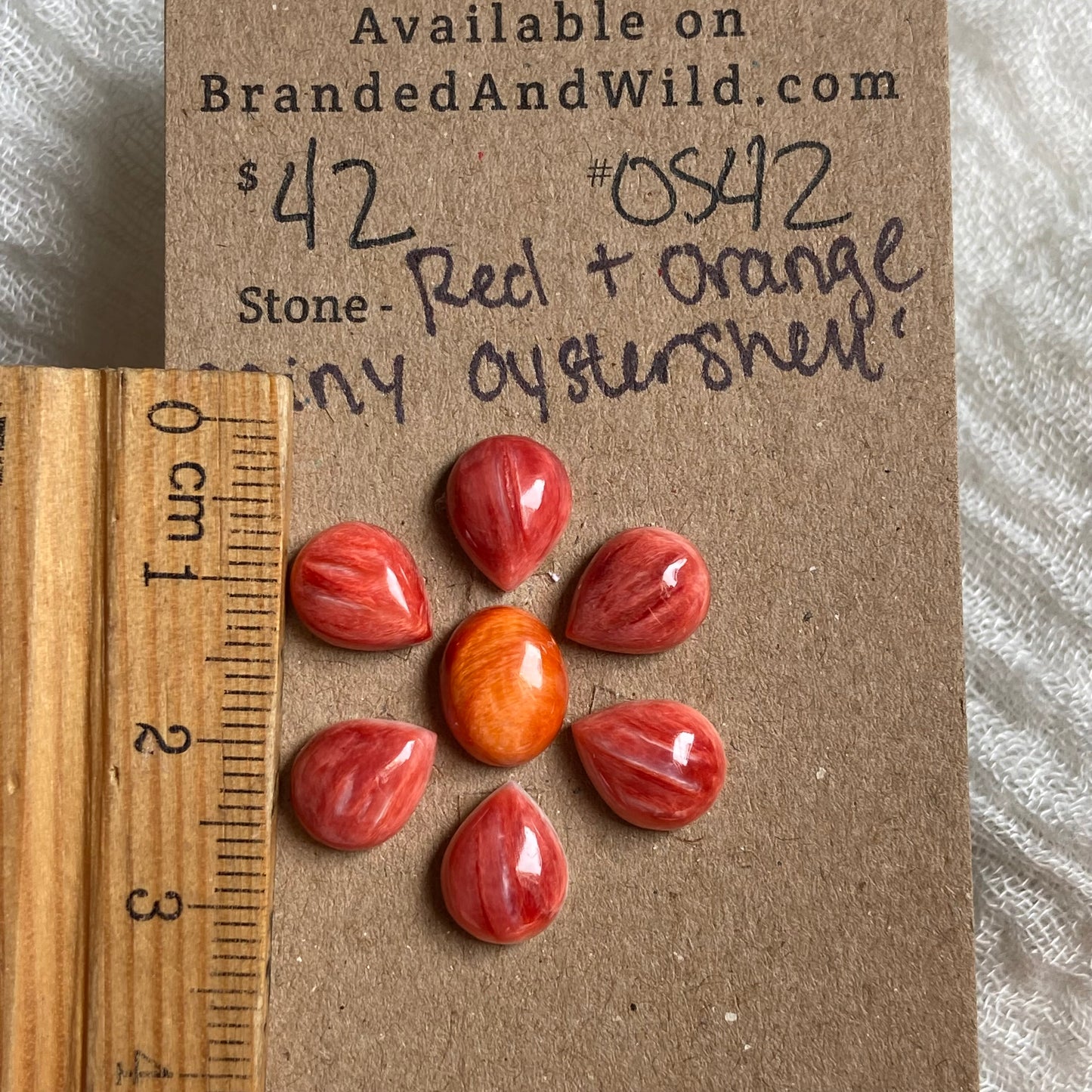 Oyster Shell Cabochon - OS42
