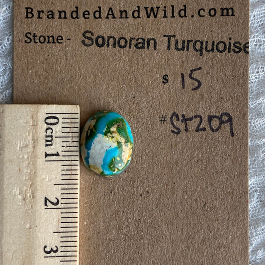 Sonoran Turquoise Cabochon - ST209