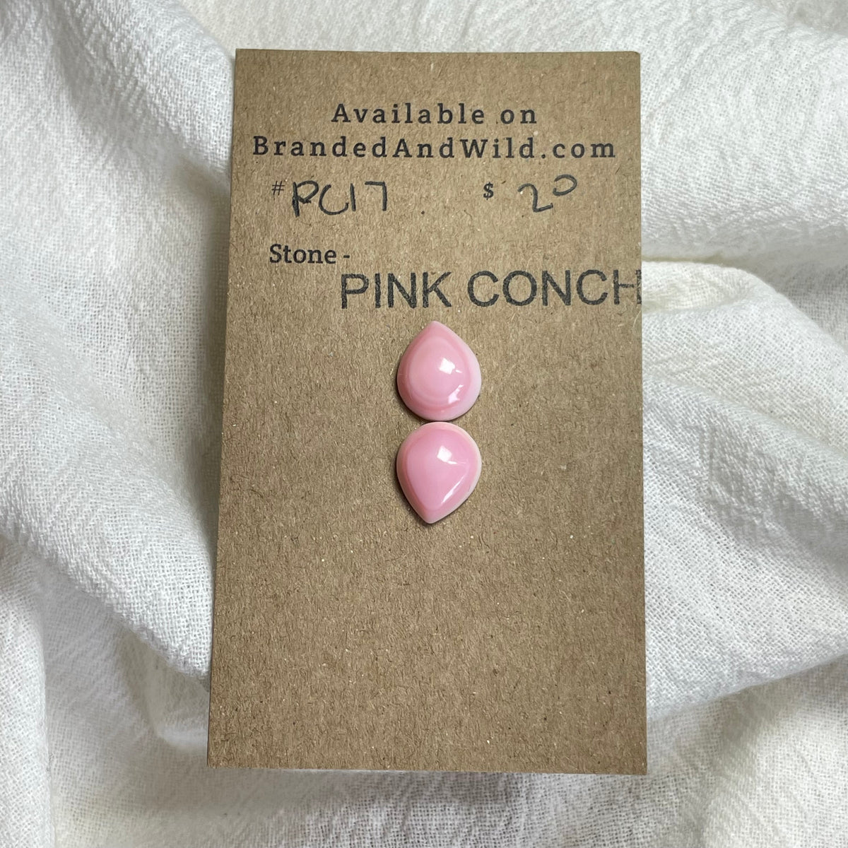 Pink Conch Cabochon - P017 E2CE767C-F8C0-45F6-9343-2B3C69E16A86 Brandedandwild.com