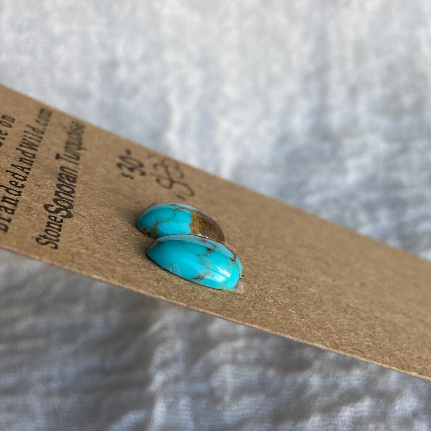 Sonoran Turquoise Cabochon - ST33