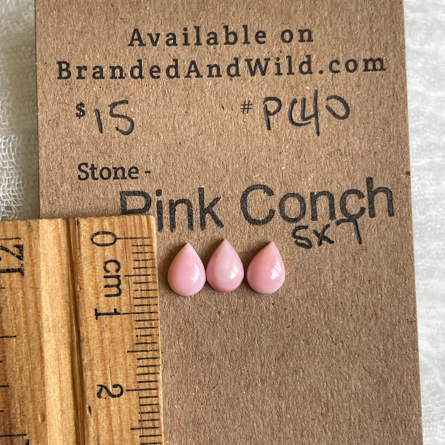 Pink Conch Cabochon - PC40