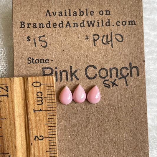 Pink Conch Cabochon - PC40