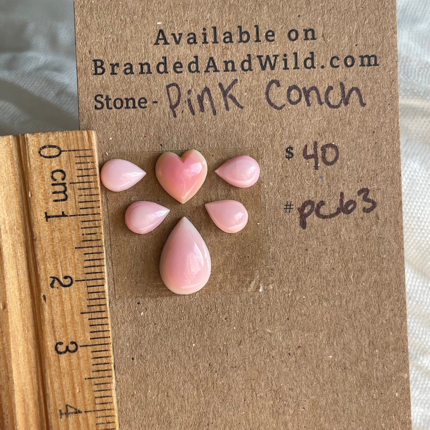 Pink Conch Cabochon - PC63 E2DFECA3-1C9B-4744-B0E0-6116CE8DCC40 Brandedandwild.com