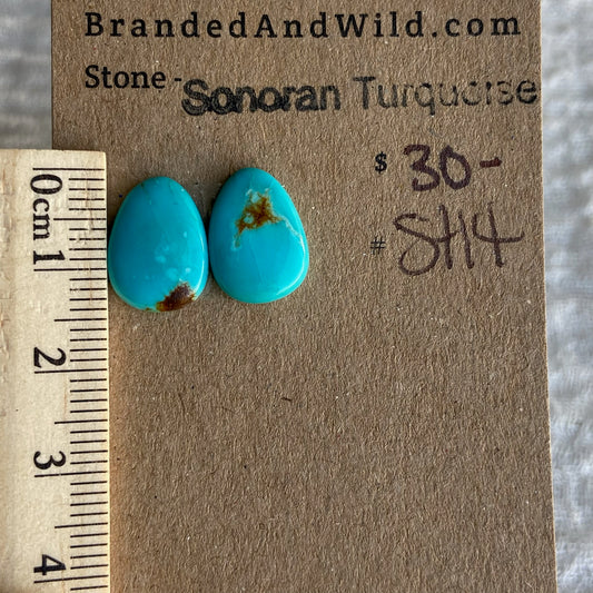 Sonoran Turquoise Cabochon - ST14