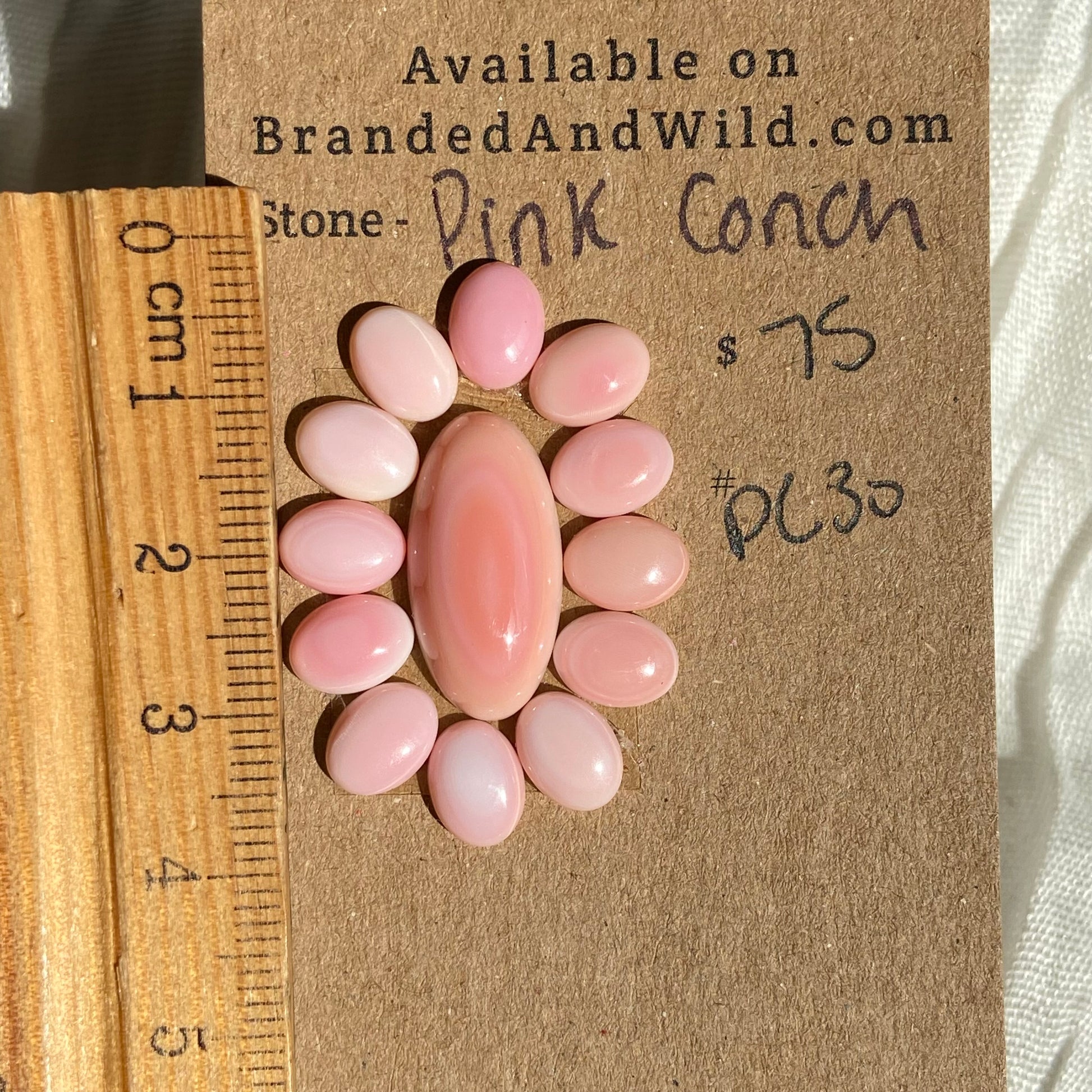 Pink Conch Cabochon - PC30 E2F49F91-856B-4F3B-837A-BA0D430CDF5A Brandedandwild.com