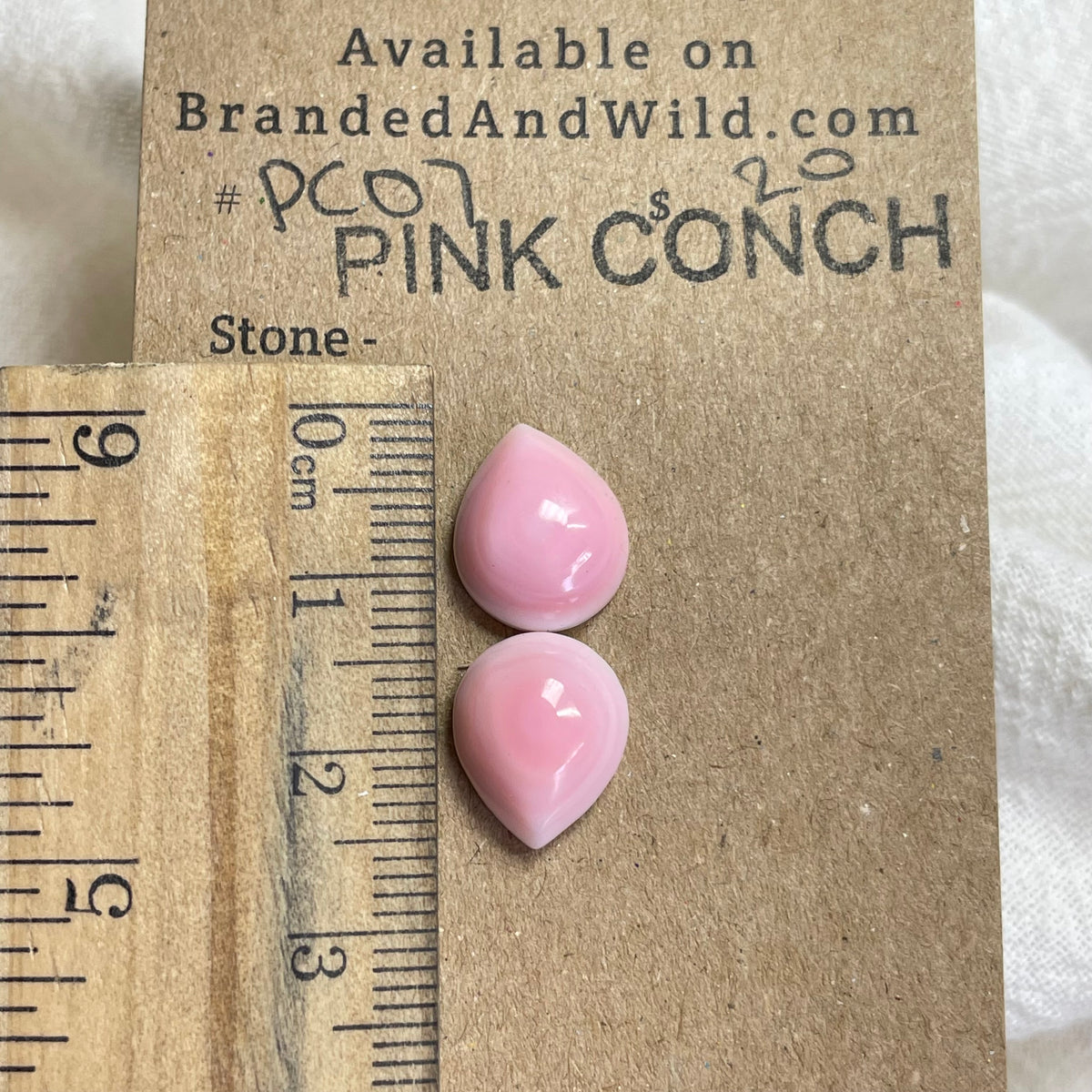 Pink Conch Cabochon - P007 E2F654F0-AF7E-4031-BB00-0FFFB3F303DC Brandedandwild.com