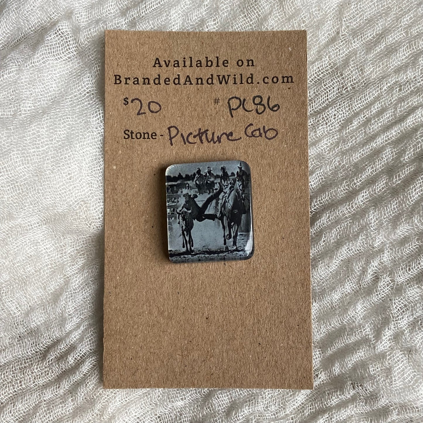 Picture Cabochon - Cabochon - PC86 E2FABFFC-C280-4EB2-B63E-E8820F55E7DA Brandedandwild.com