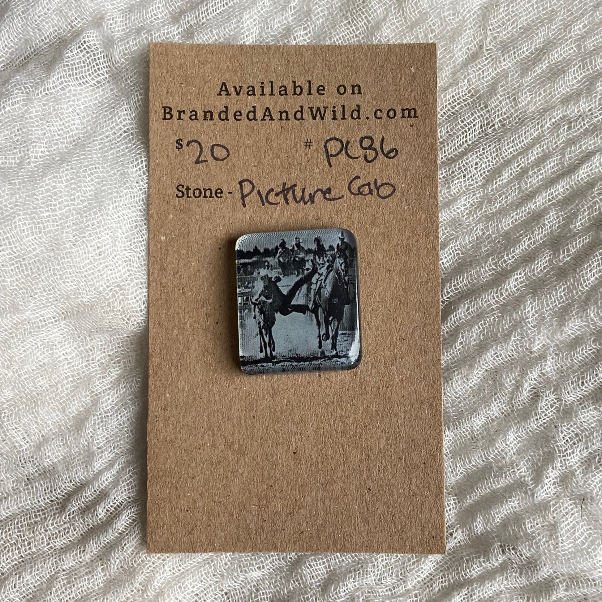 Picture Cabochon - Cabochon - PC86 E2FABFFC-C280-4EB2-B63E-E8820F55E7DA Brandedandwild.com