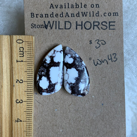 Wild Horse Cabochon - WH43