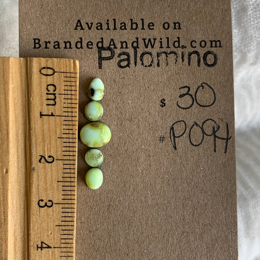 Palomino Cabochon - P094