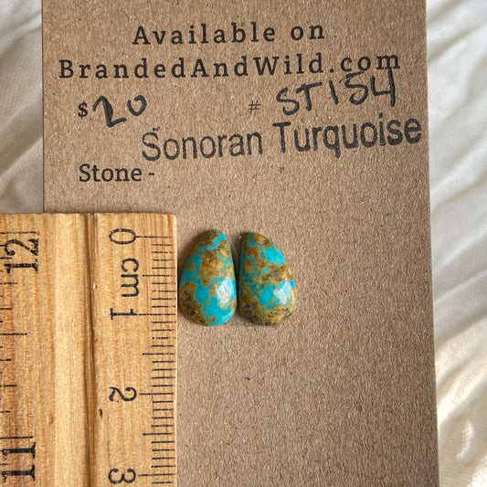 Sonoran Turquoise Cabochon - ST154 E34436CB-5B6D-43E2-BACF-21D1D7DD6CAB Brandedandwild.com