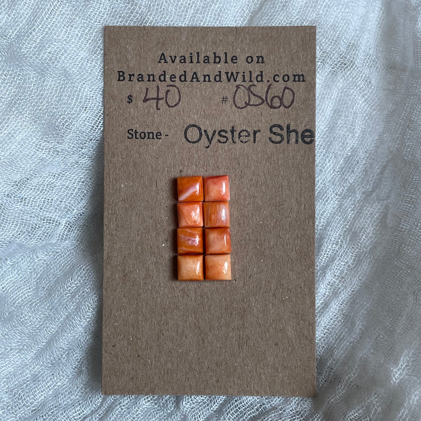 Oyster Shell Cabochon - OS60