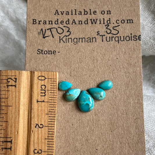 Kingman Turquoise Cabochon - KT03 E34AAEA9-CF99-407B-BB5B-4C1BE8988180 Brandedandwild.com