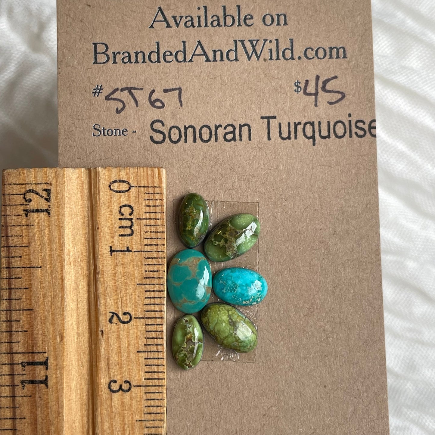 Sonoran Turquoise Cabochon - ST67 E3514E48-4855-4CFC-8D81-42FAB87DA193 Brandedandwild.com