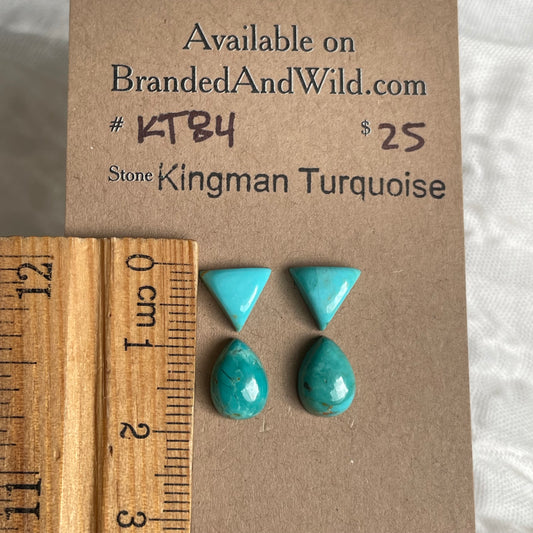 Kingman Turquoise Cabochon - KT84 E3671759-1D8C-4297-9358-95A3400959A9 Brandedandwild.com