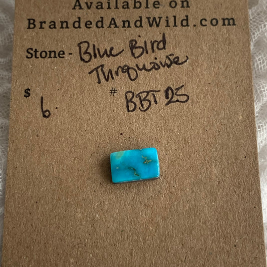 Blue Bird Turquoise Cabochon - BBT25