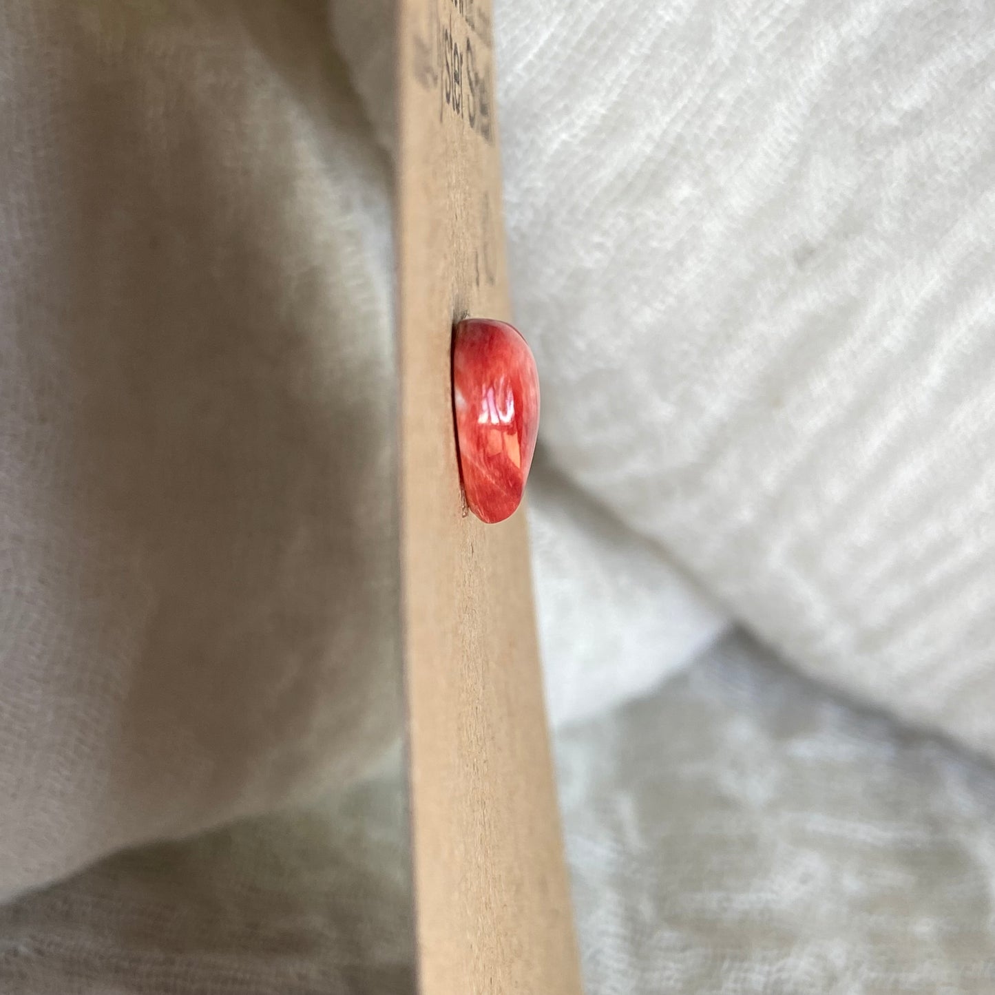 Oystershell Cabochon - OS02