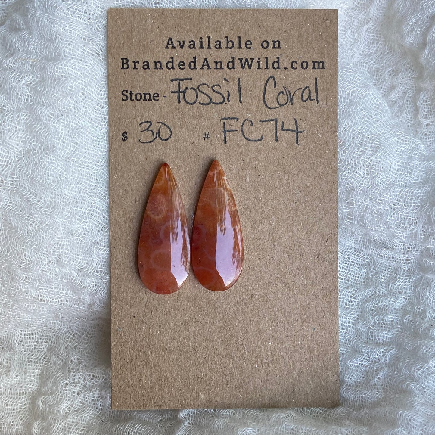 Fossil Coral Cabochon - FC74
