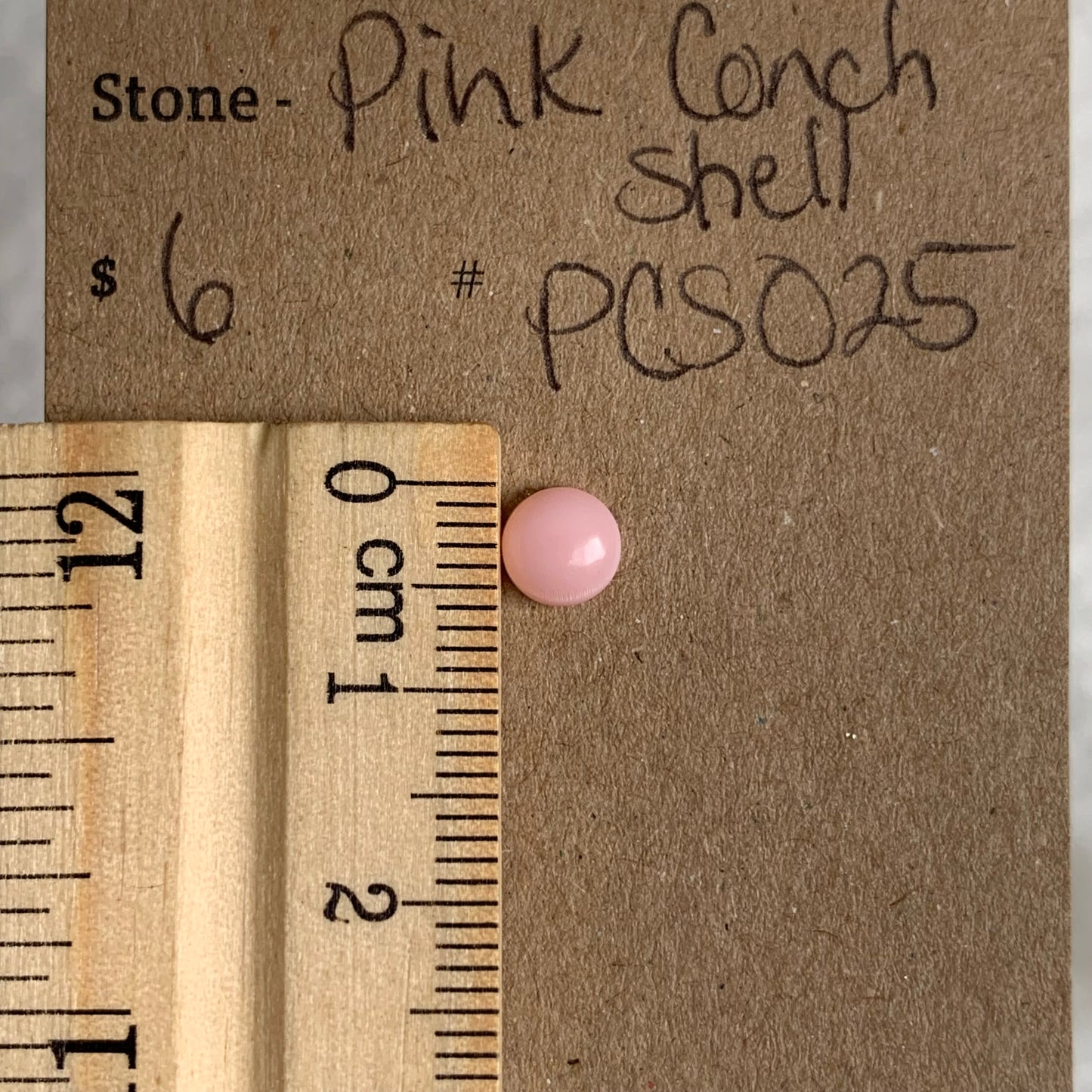Pink Conch Cabochon - PCS025