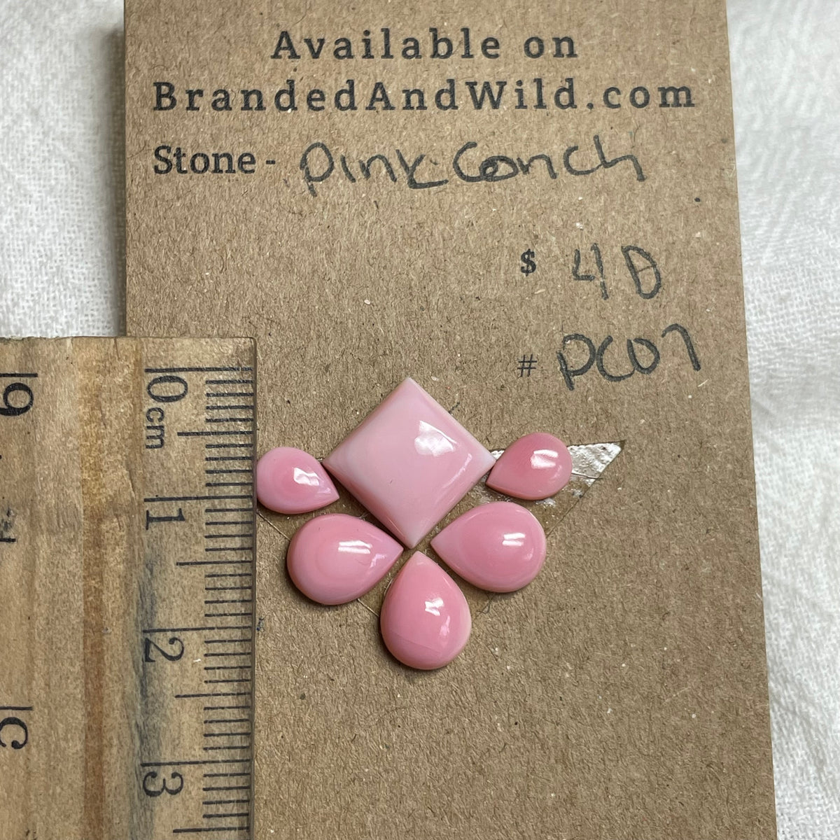 Pink Conch Cabochon - PC07 E415BB07-3208-4694-B369-3340F6D1876F Brandedandwild.com
