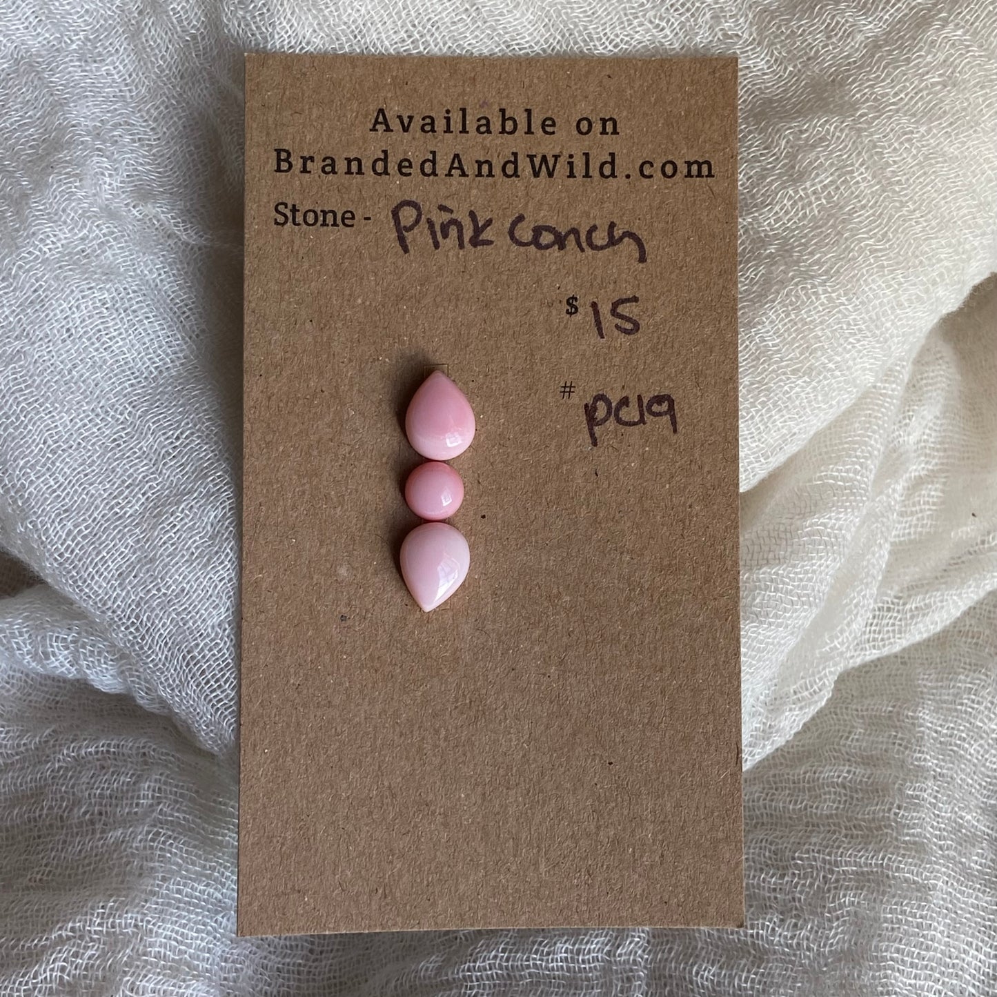 Pink Conch Cabochon - PC19