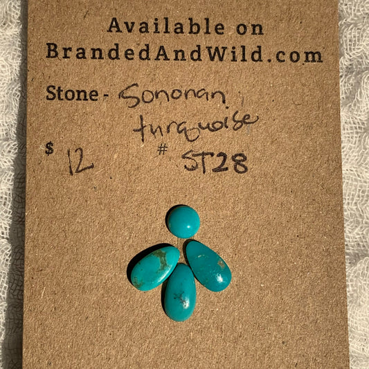 Sonoran Turquoise Cabochon - ST28