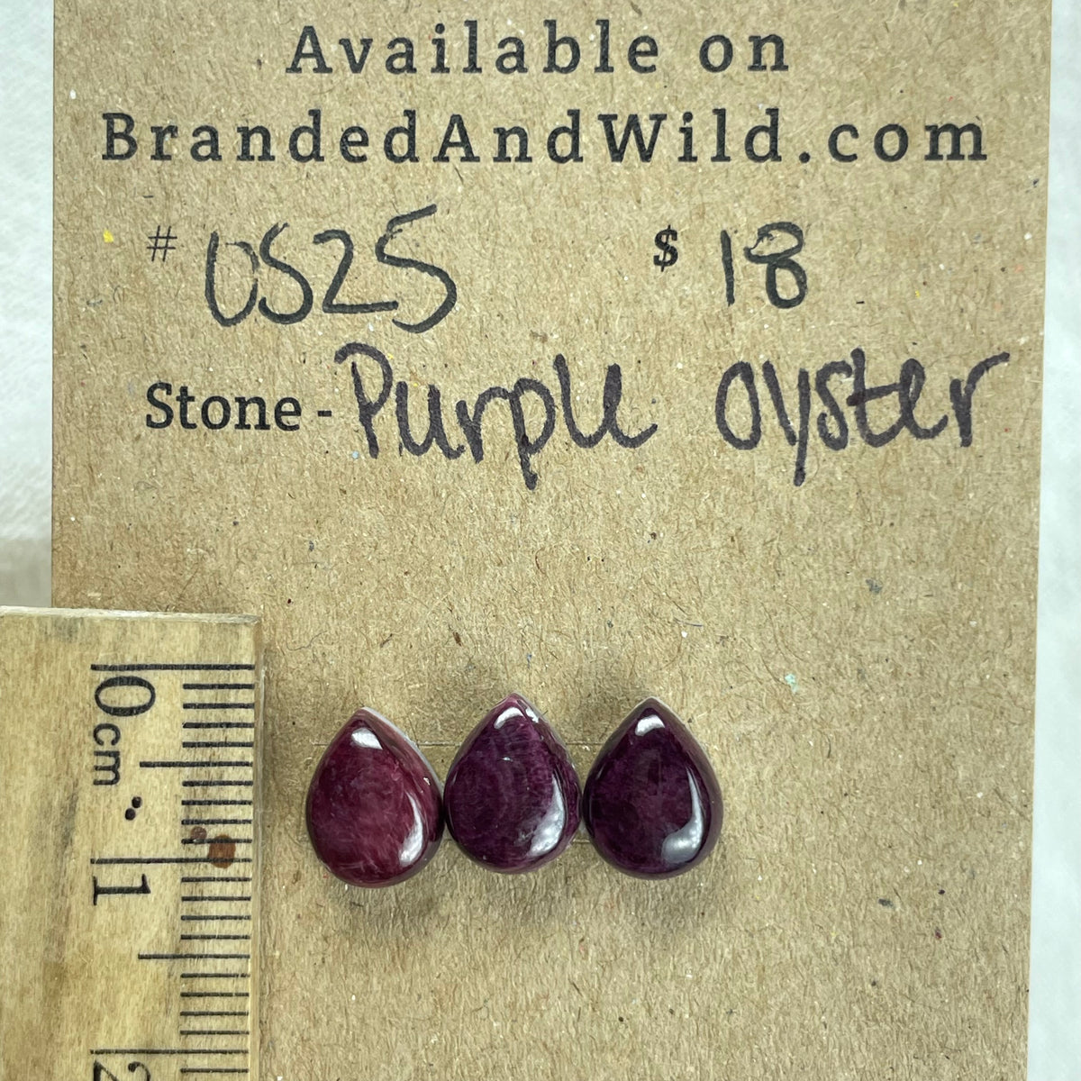 Oyster Shell Cabochon - OS25 E4A231BB-B8BE-426F-B2DA-E290E3B3AA8A Brandedandwild.com