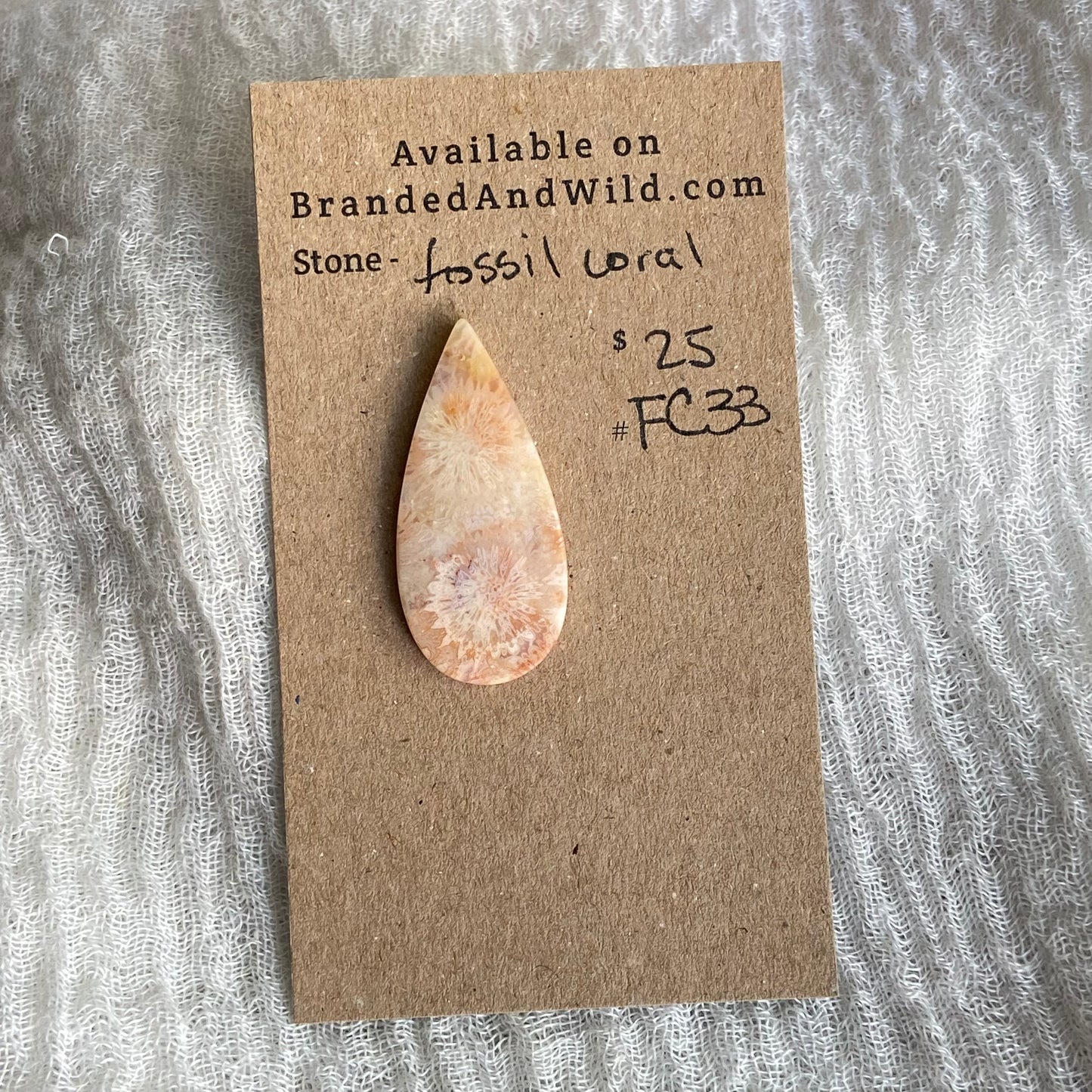 Fossil Coral Cabochon - FC33