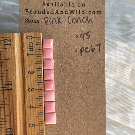 Pink Conch Cabochon - PC67 E4DE9665-F0C4-4D4D-8E05-9E97F69B1899 Brandedandwild.com