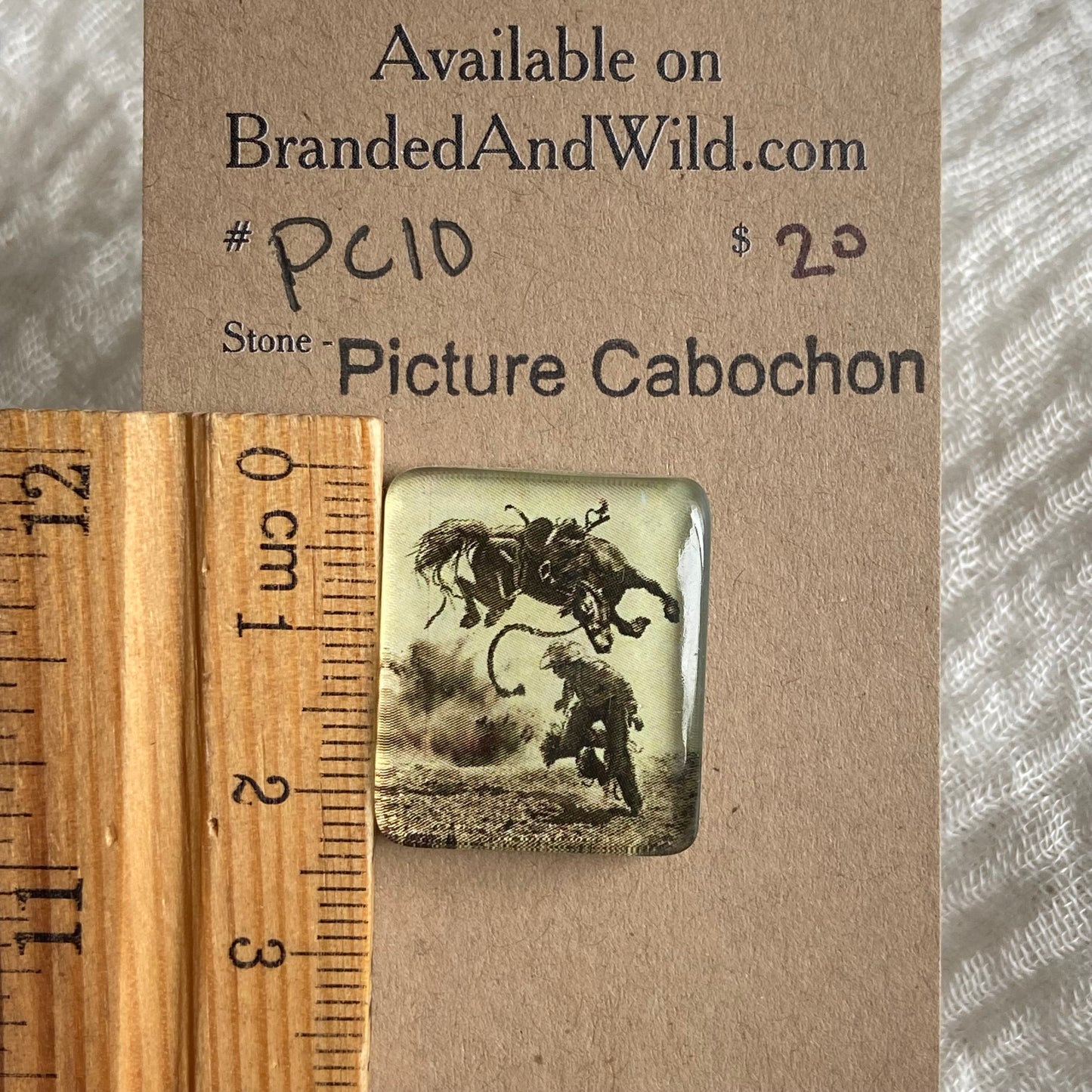 Picture Cabochon - Cabochon - PC10 E50CF2C3-F451-479D-B8C0-9C47295D3BD0 Brandedandwild.com