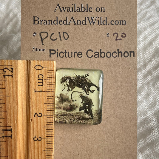 Picture Cabochon - Cabochon - PC10 E50CF2C3-F451-479D-B8C0-9C47295D3BD0 Brandedandwild.com