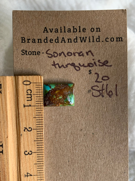Sonoran Turquoise Cabochon - ST61