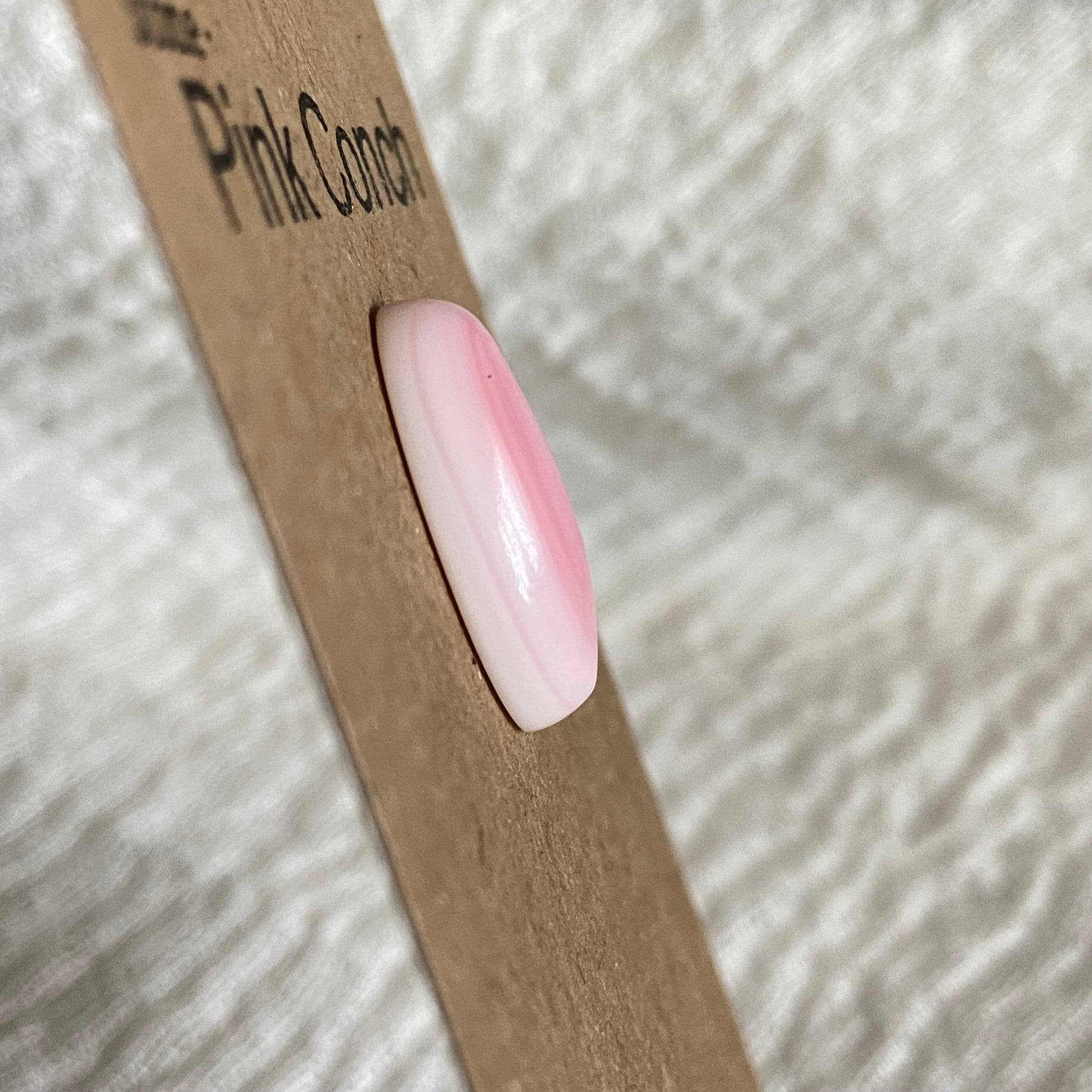Pink Conch Cabochon - P14 E51CA342-3B47-43E0-863D-F77F05C7B554 Brandedandwild.com