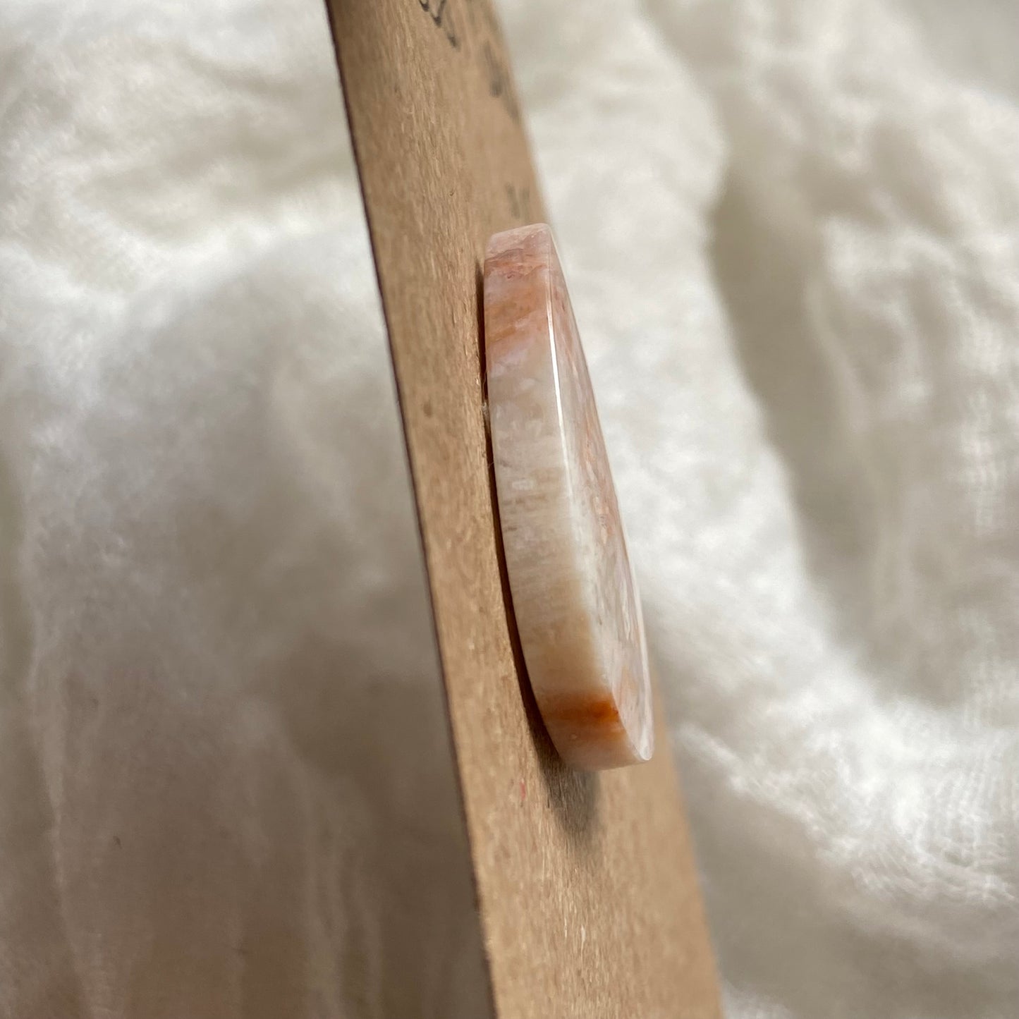 Fossil Coral Cabochon - FC131