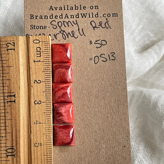 Spiny Oyster Shell Cabochon - OS13 E5697D75-FCC6-4D7F-9815-1958B1A04B15 Brandedandwild.com