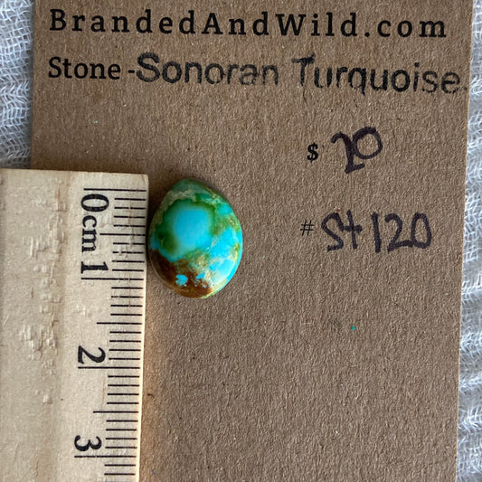 Sonoran Turquoise Cabochon - ST120