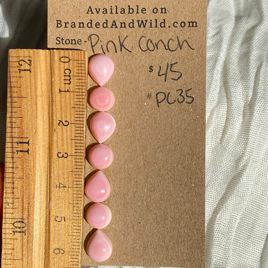 Pink Conch Cabochon - PC35 E57EB3F2-A227-4EE1-902C-BAB6093E6BCC Brandedandwild.com