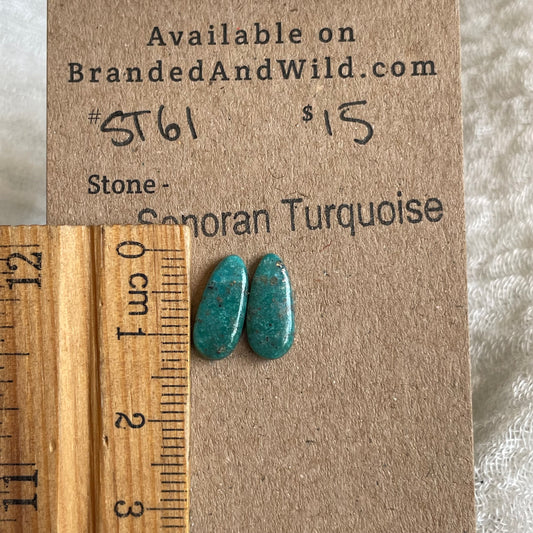 Sonoran Turquoise Cabochon - ST61 E5BBA95F-974A-448A-B9B3-C201D271459E Brandedandwild.com
