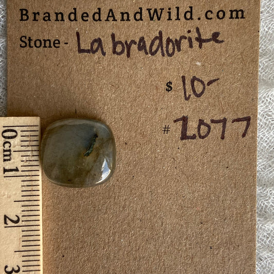 Labradorite Cabochon - L077