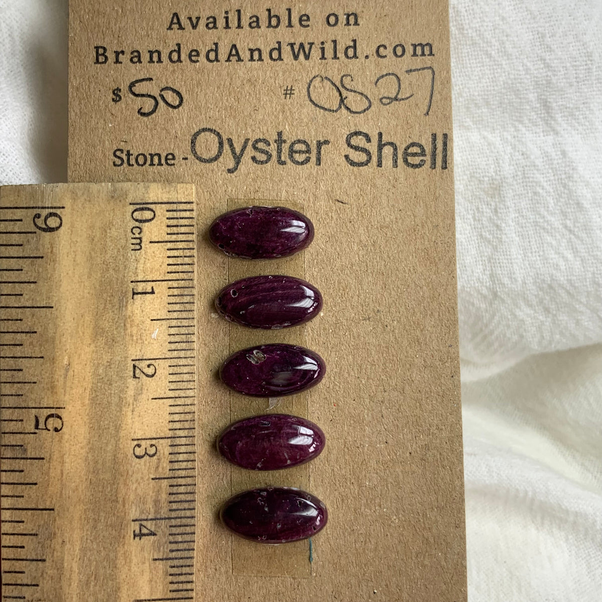 Oyster Shell Cabochon - OS27 E60148E9-F01E-42E0-9B41-C426E0090582 Brandedandwild.com