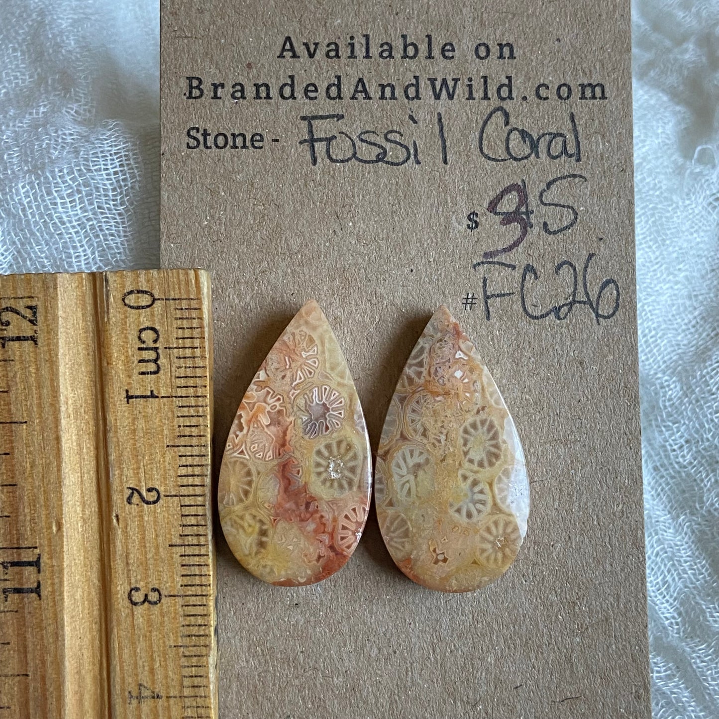 Fossil Coral Cabochon - FC26