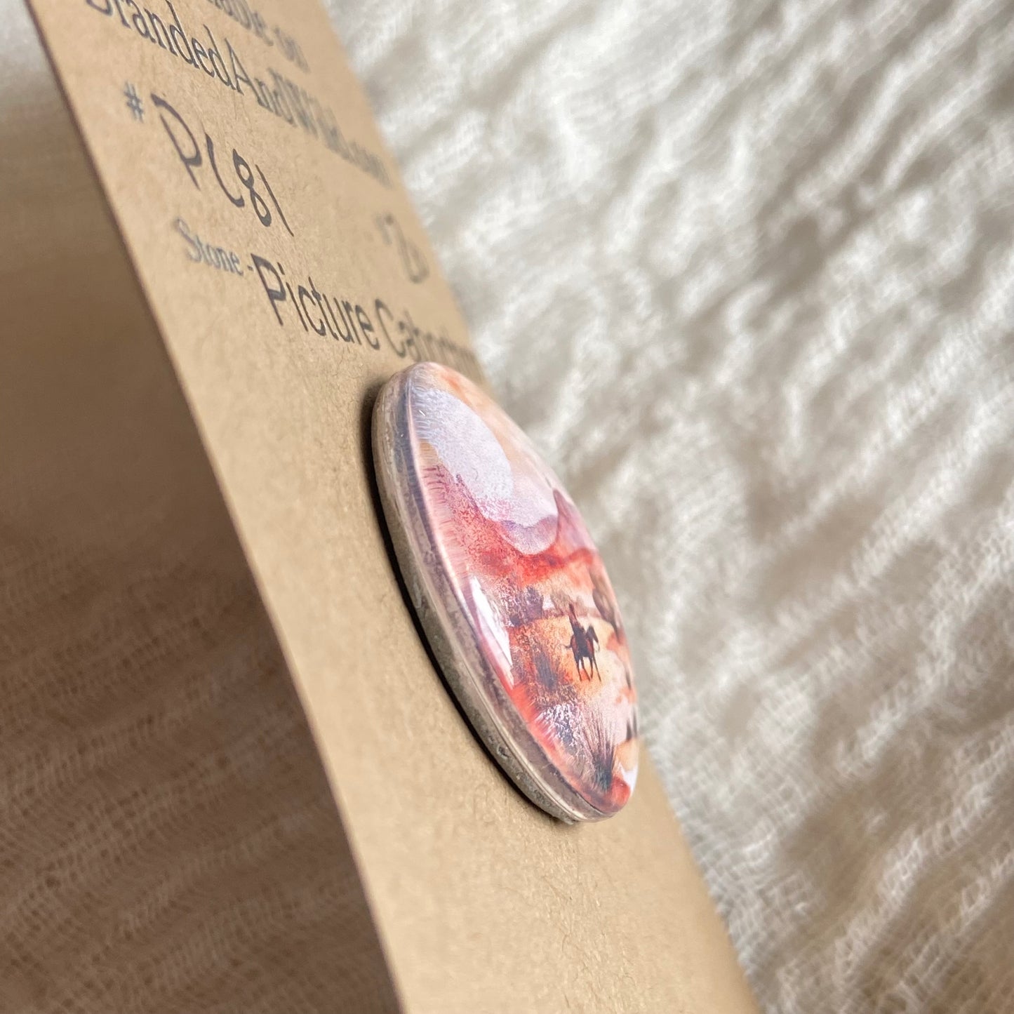 Picture Cabochon - Cabochon - PC81 E6334BC7-1BEB-4042-AB51-D0C0D8593E5D Brandedandwild.com