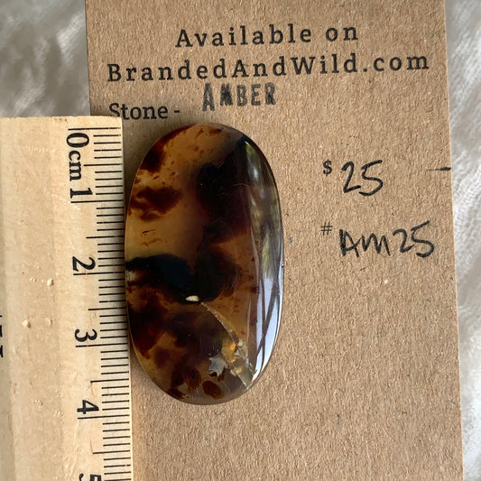 Amber Cabochon AM25