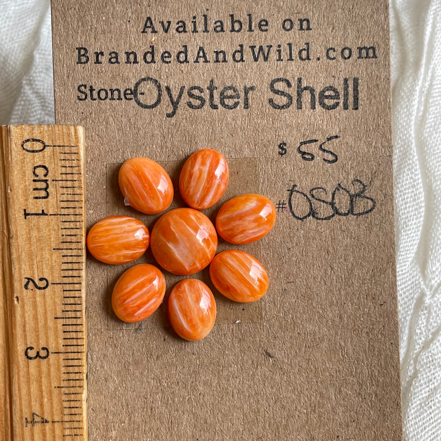 Oyster Shell Cabochon - OS03 E64DDF97-C863-4858-BDCC-3A43F076B434 Brandedandwild.com
