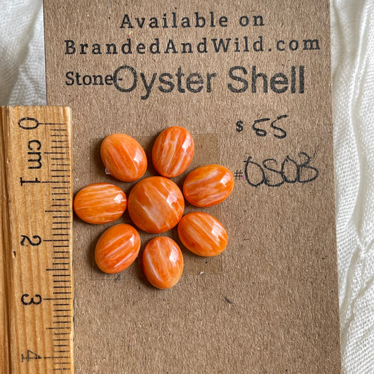 Oyster Shell Cabochon - OS03 E64DDF97-C863-4858-BDCC-3A43F076B434 Brandedandwild.com