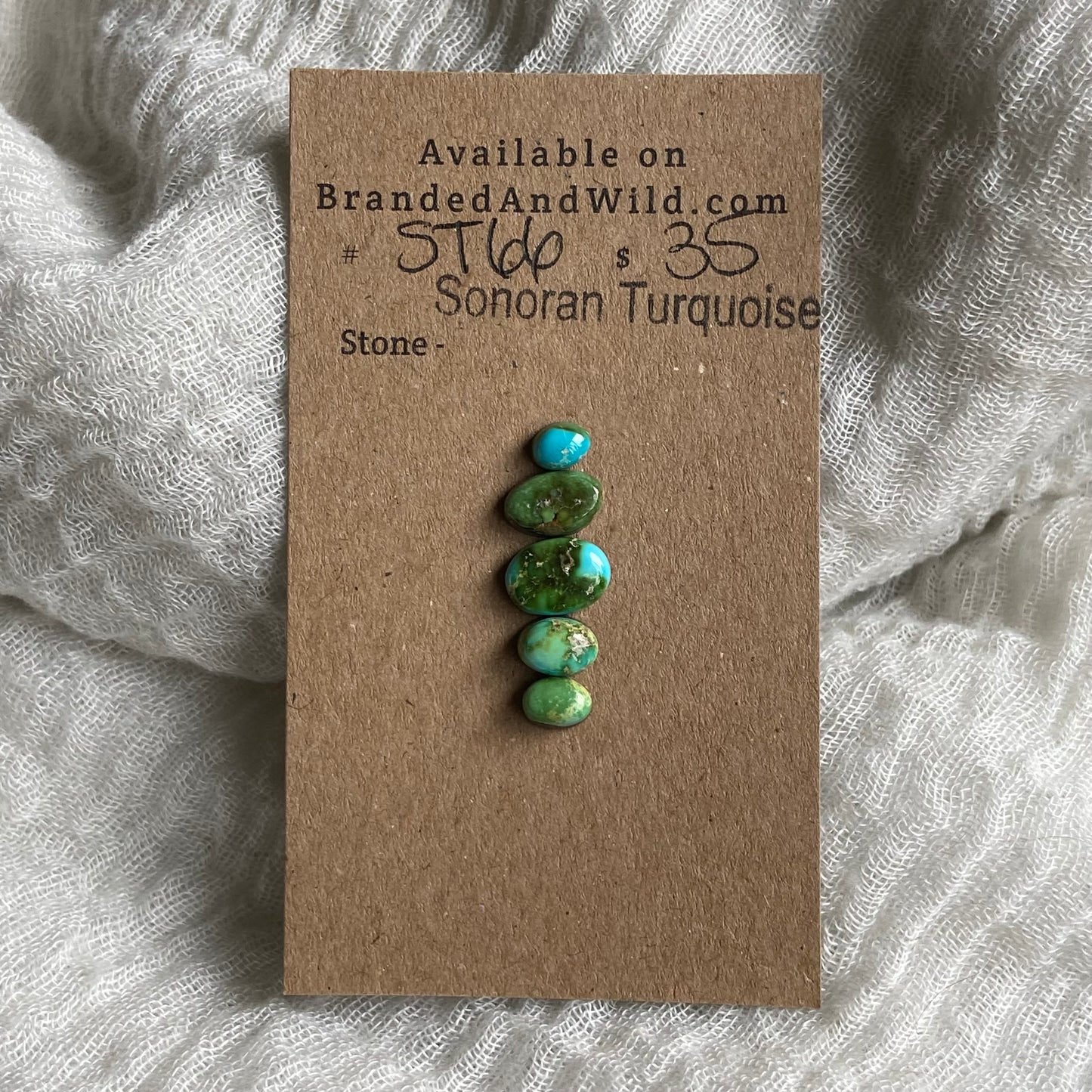 Sonoran Turquoise Cabochon - ST66