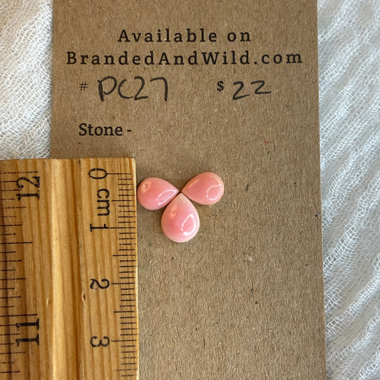 Pink Conch Cabochon - PC27