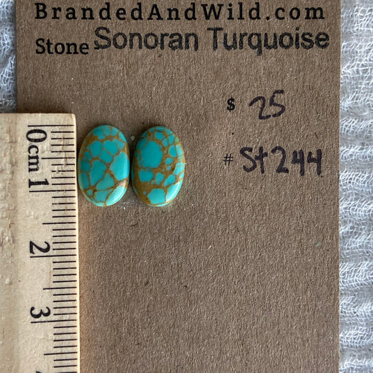 Sonoran Turquoise Cabochon - ST244